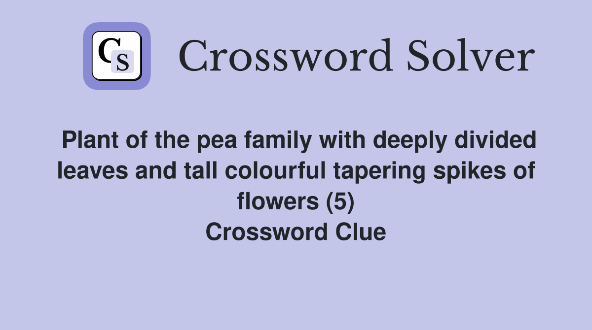 Plant of the pea family with deeply divided leaves and tall colourful